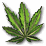 iconHanf.png