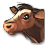 iconRind.png
